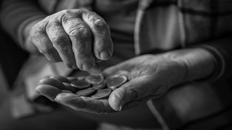 pexels-landsmann-803094805-27828635(1).jpg