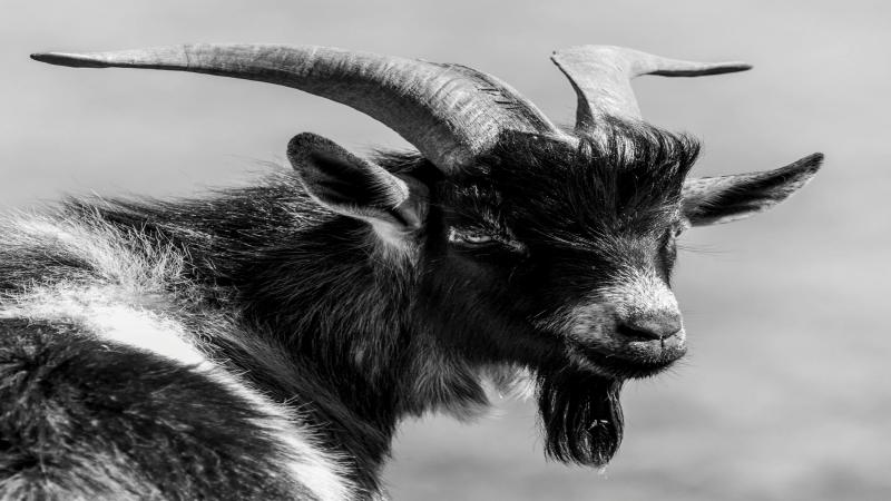 pexels-irishheartphoto-12194918(1).jpg