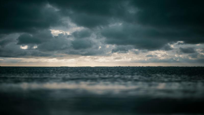 pexels-joshsorenson-1154510(1).jpg