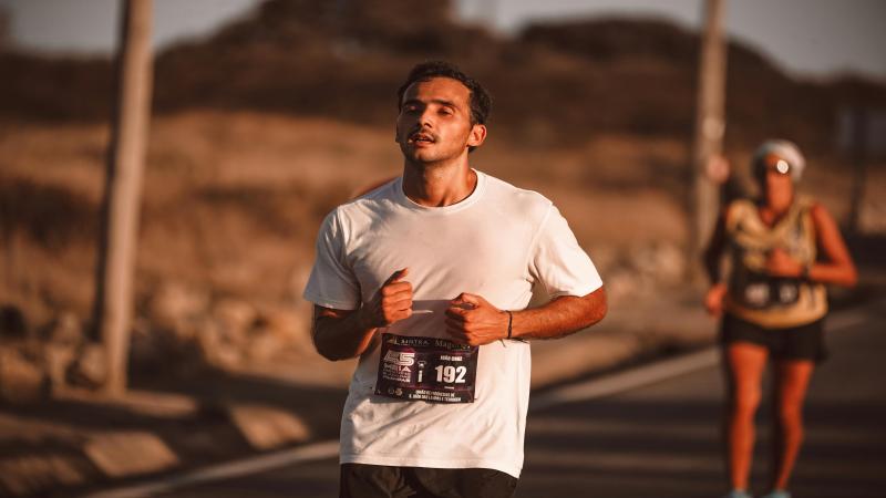 pexels-runffwpu-18409436(1).jpg