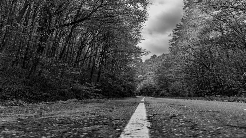 pexels-vladimirsrajber-29240486(1).jpg