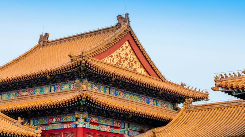 pexels-zhai-zhai-822160214-28956208(1).jpg