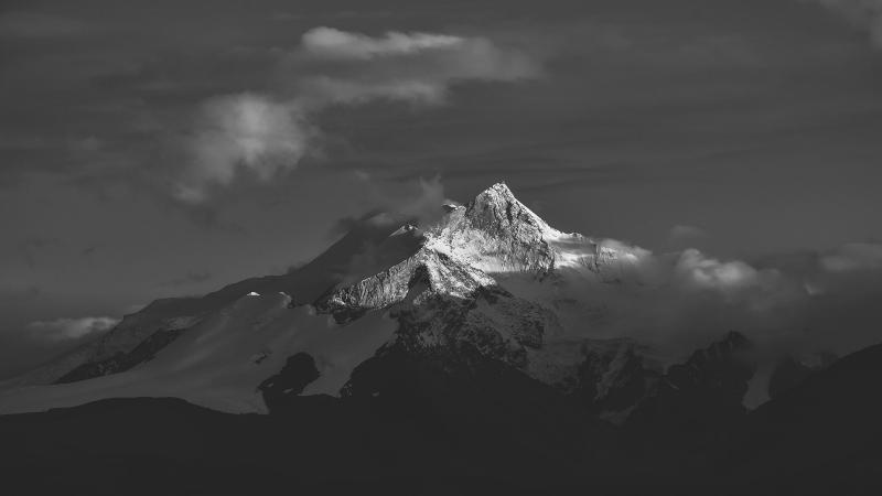pexels-zhanqun-cai-1507025-3998488(1).jpg