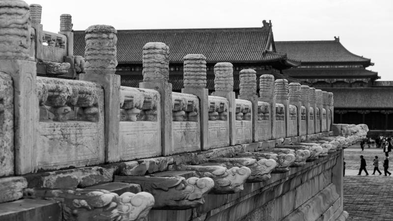 pexels-yan-zhang-210144339-18549401(1).jpg