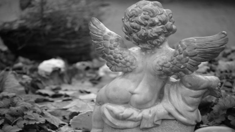 pexels-mario-wallner-107470762-10323502(1).jpg