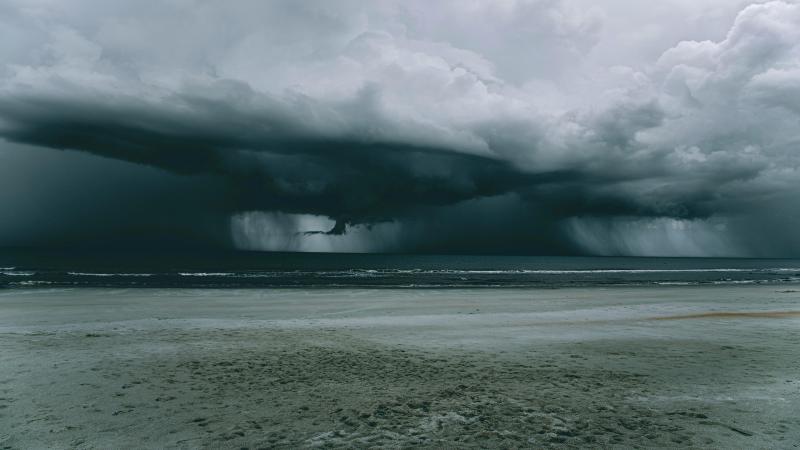 pexels-alteredsnaps-14920362(1).jpg