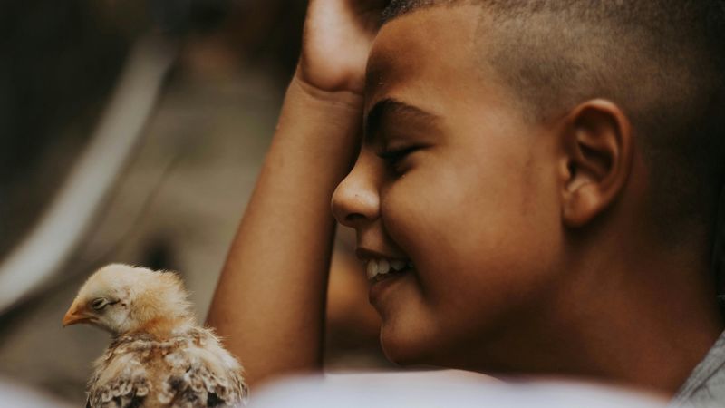 pexels-gabriel-frank-104295448-16229586.jpg