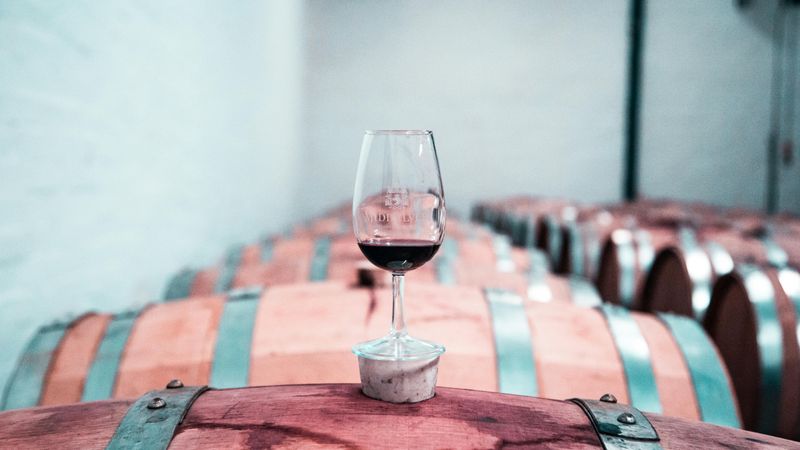 pexels-arthurbrognoli-2440528.jpg