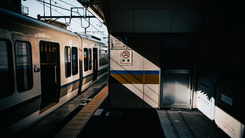 pexels-kuan-yu-huang-252427105-16029608.jpg